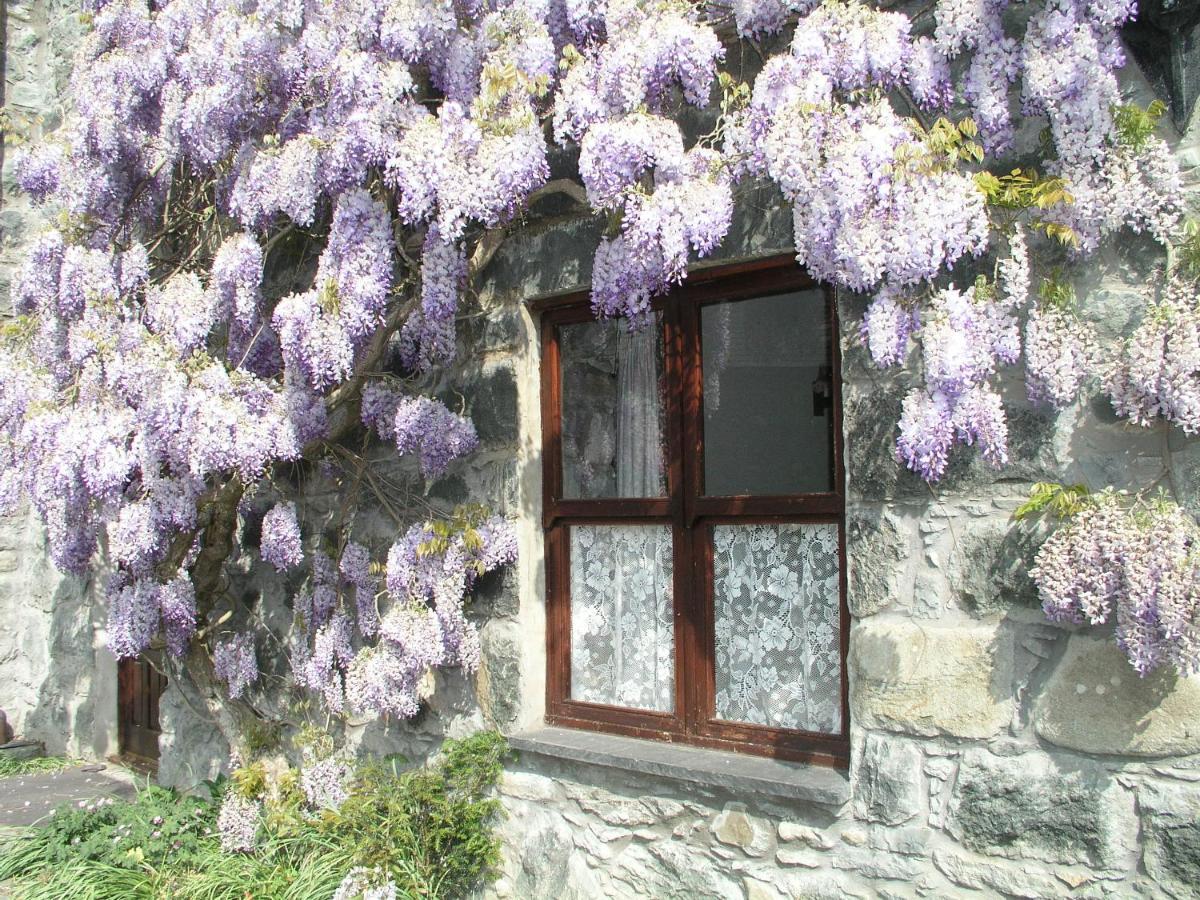 Conwy Valley Cottages Exteriér fotografie